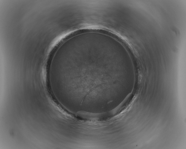 X0000113181319200909041335