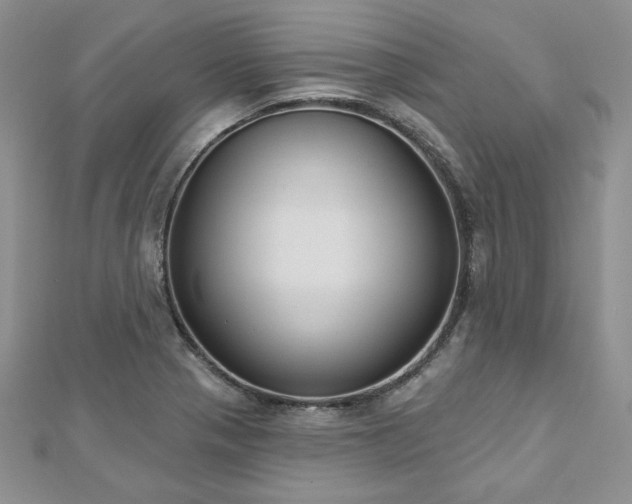 X0000113181321200909041335