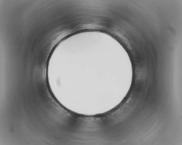 X0000113181322200909041335