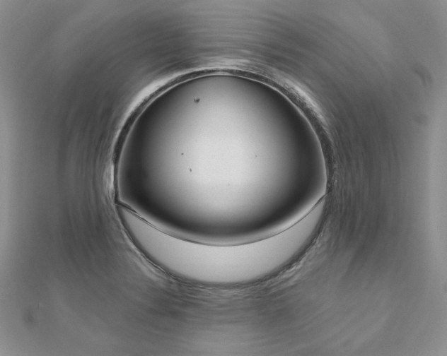 X0000113181324200909041335