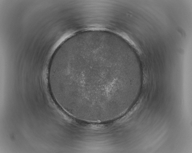 X0000113181325200909041335