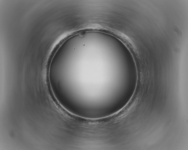 X0000113181326200909041335