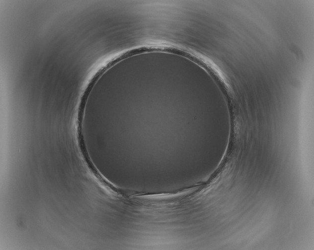 X0000113181327200909041335