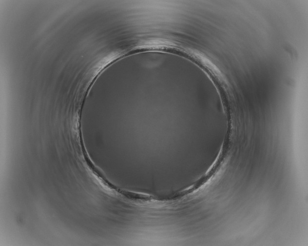 X0000113181329200909041335