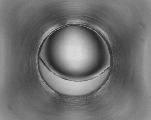 X0000113181330200909041335