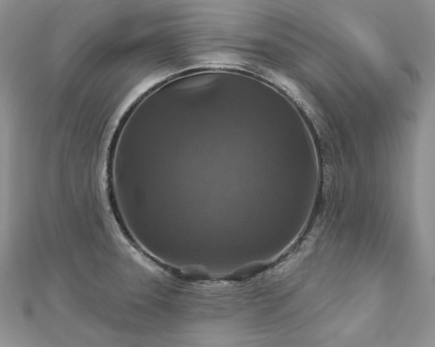 X0000113181331200909041335
