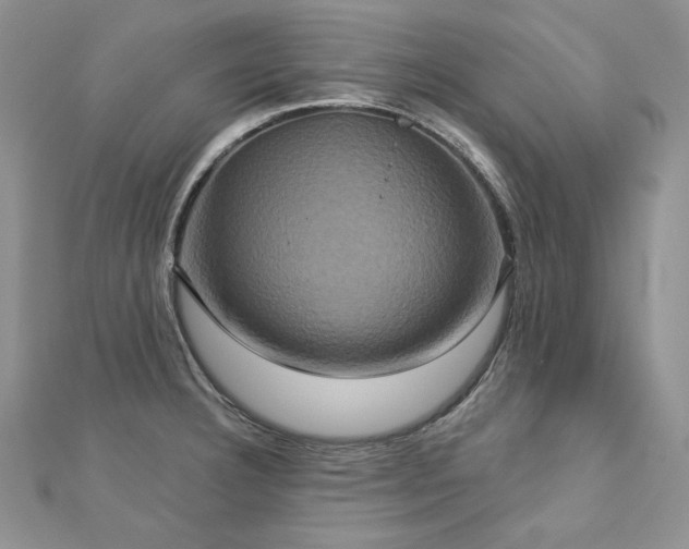 X0000113181332200909041335