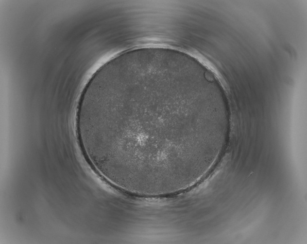 X0000113181333200909041335