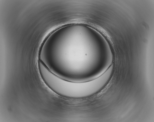 X0000113181334200909041335
