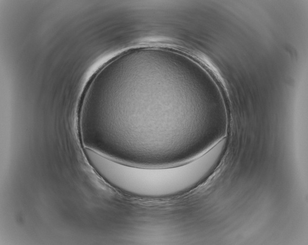X0000113181336200909041335