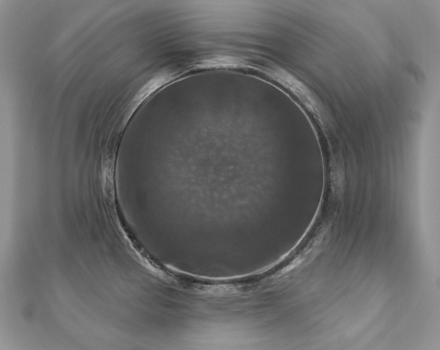 X0000113181337200909041335