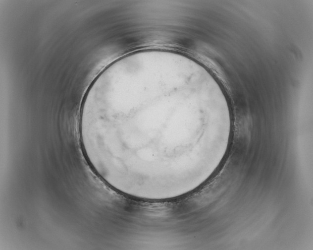 X0000113181338200909041335