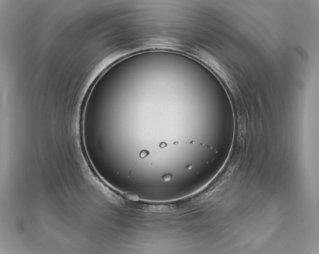 X0000113181339200909041335