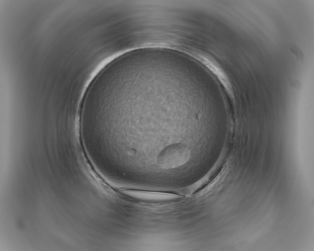 X0000113181340200909041335