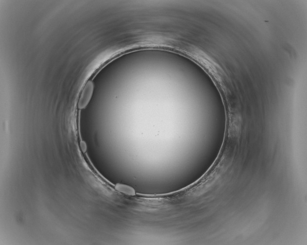 X0000113181342200909041335