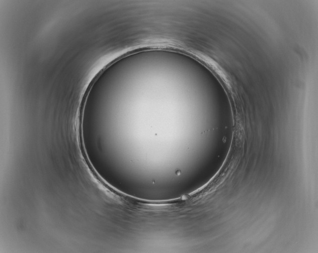 X0000113181343200909041335