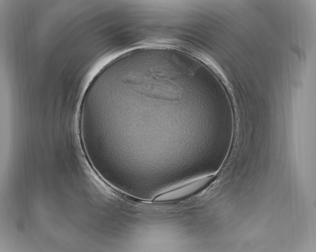 X0000113181344200909041335