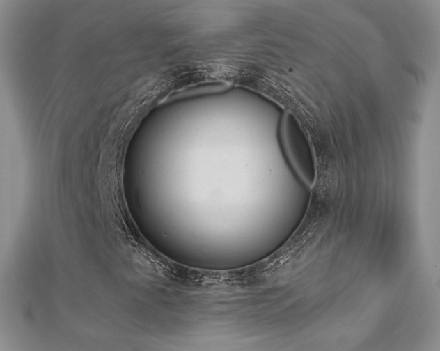 X0000113181345200909041335