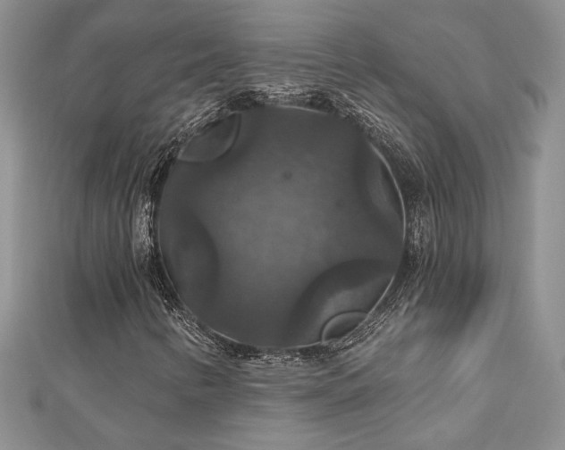 X0000113181346200909041335