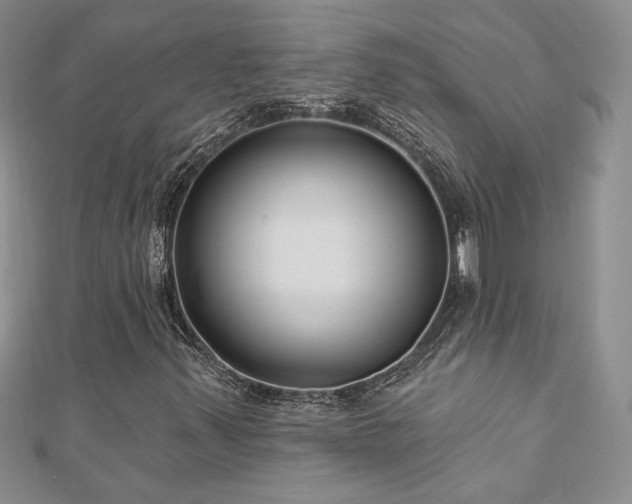X0000113181347200909041335