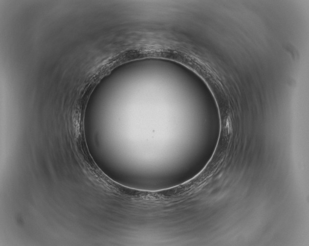 X0000113181348200909041334
