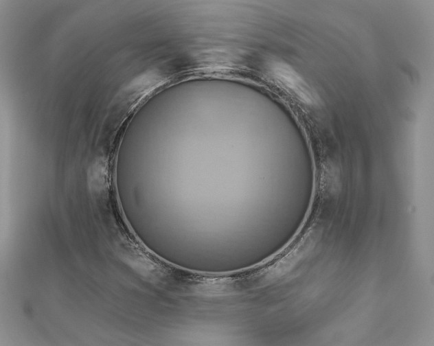 X0000113181353200909041334
