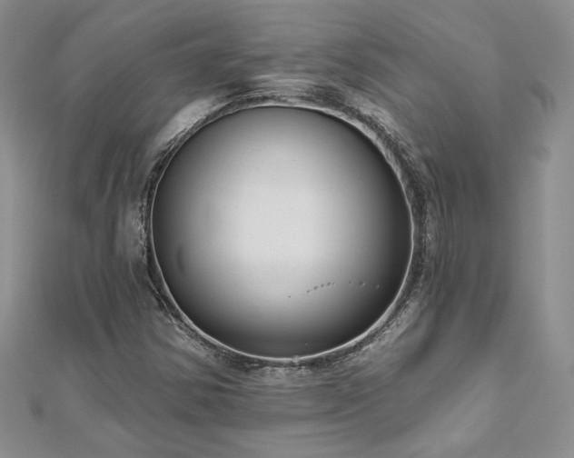 X0000113181354200909041334