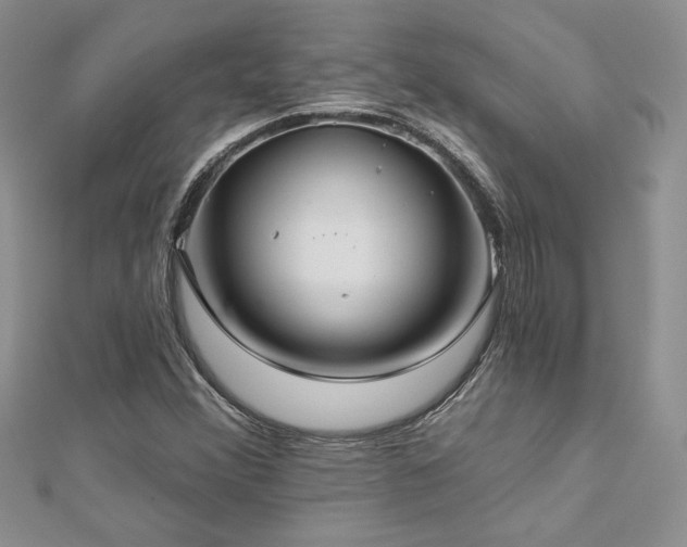 X0000113181356200909041334