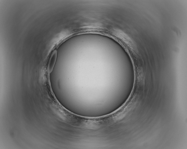 X0000113181357200909041334