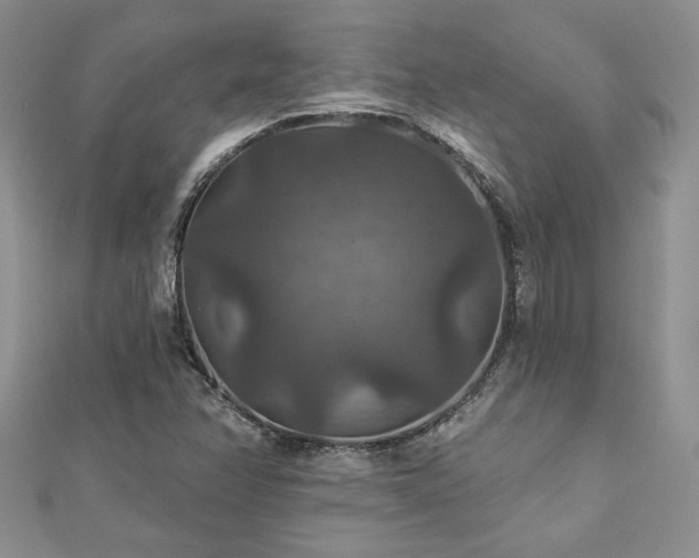 X0000113181358200909041334