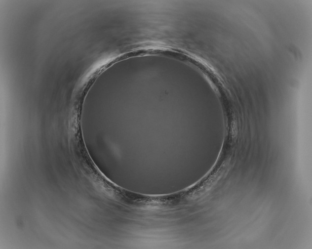 X0000113181359200909041334