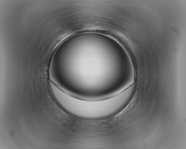 X0000113181361200909041334
