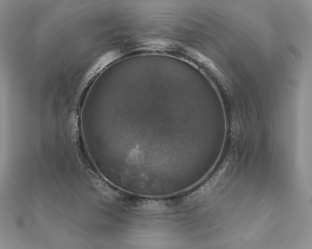 X0000113181362200909041334