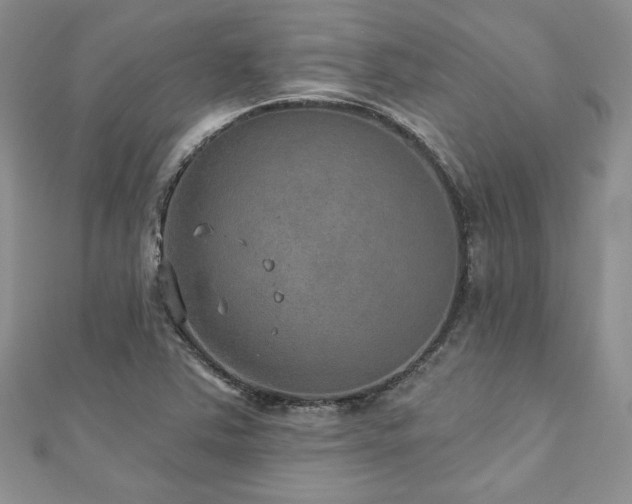 X0000113181363200909041334