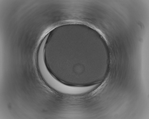 X0000113181365200909041334