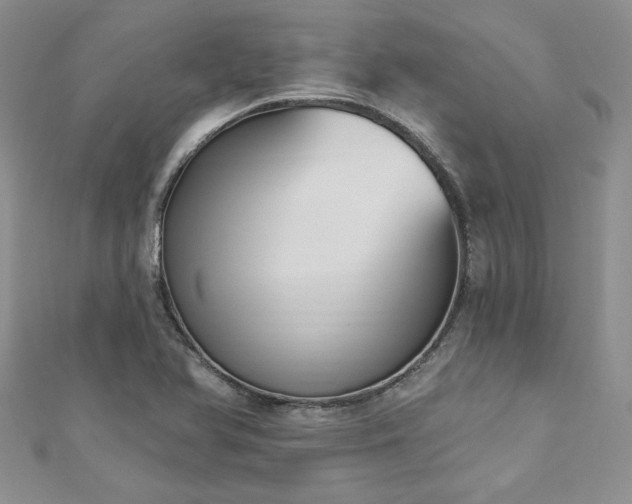 X0000113181366200909041334