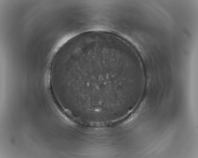 X0000113181367200909041334