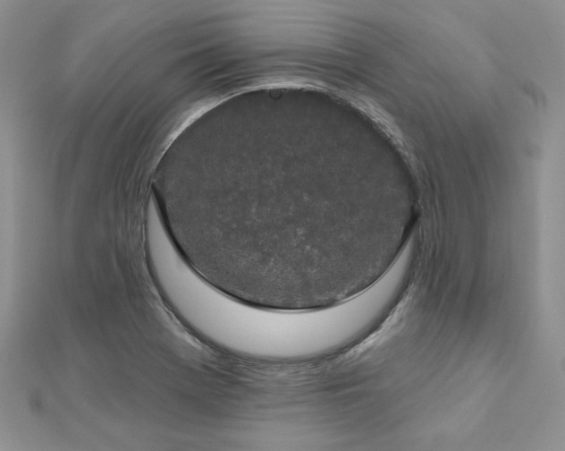 X0000113181369200909041334