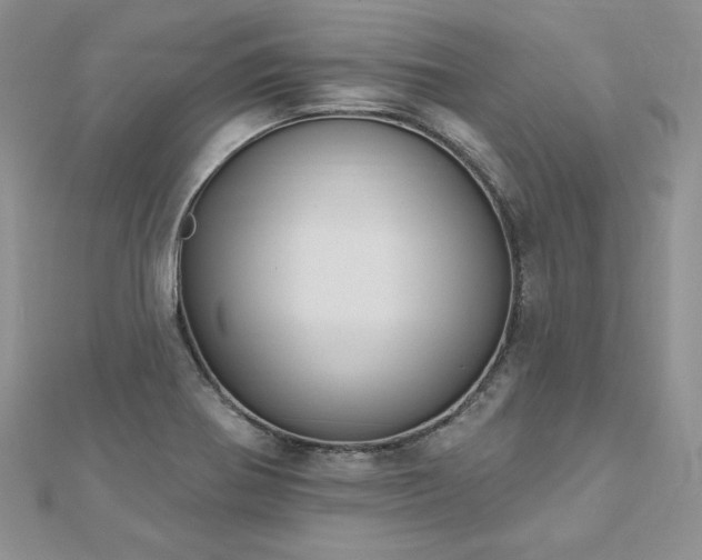 X0000113181370200909041334