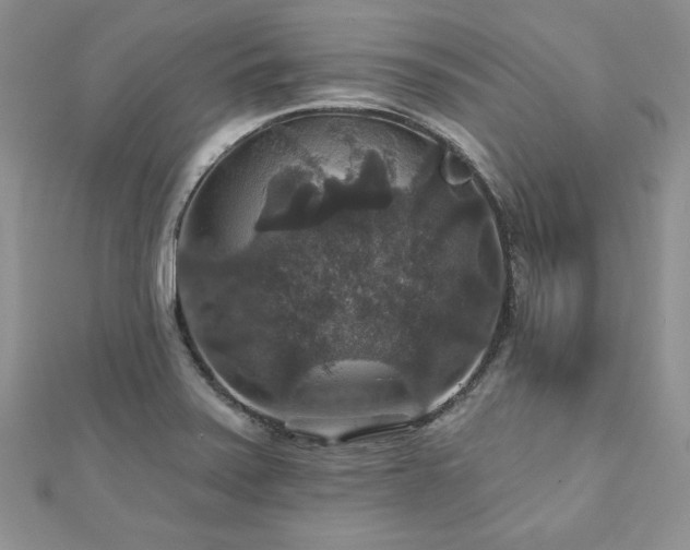 X0000113181371200909041334