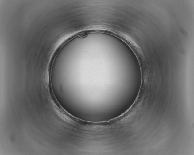 X0000113181372200909041334