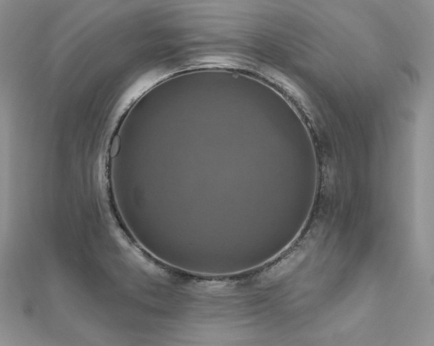 X0000113181373200909041334