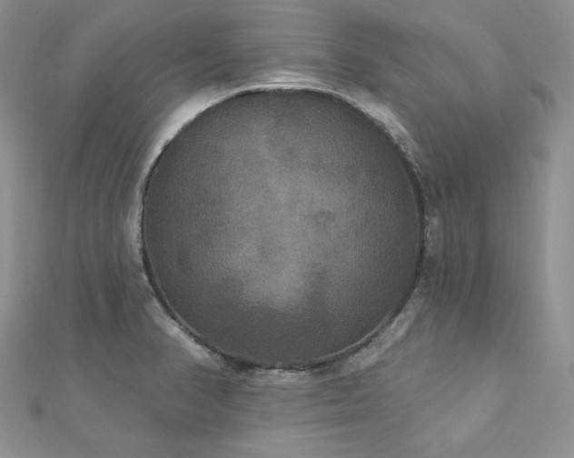 X0000113181374200909041334