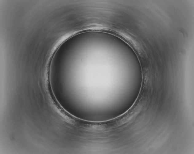 X0000113181375200909041334