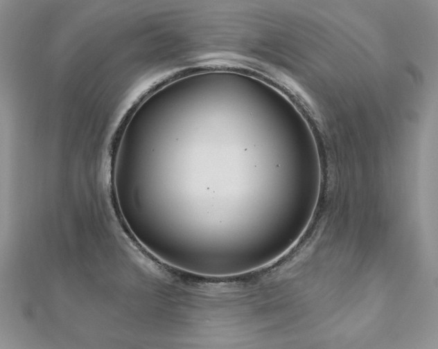 X0000113181376200909041334