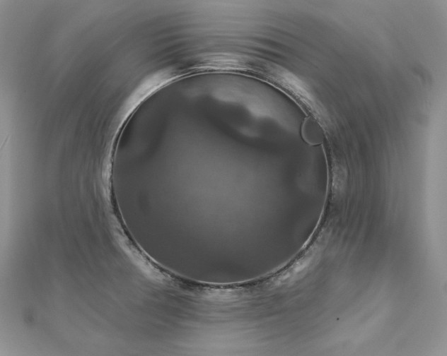 X0000113181378200909041334