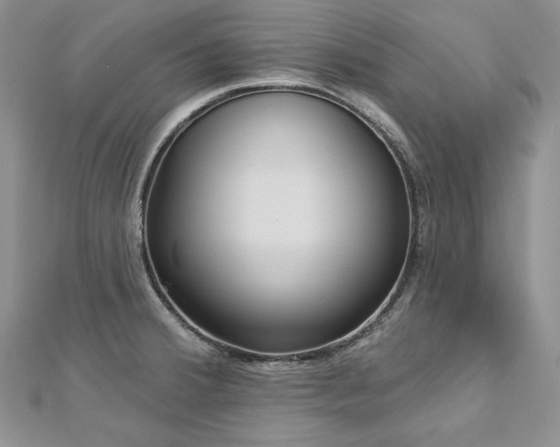 X0000113181380200909041334