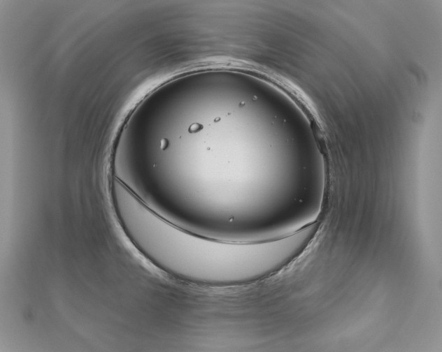 X0000113181381200909041334