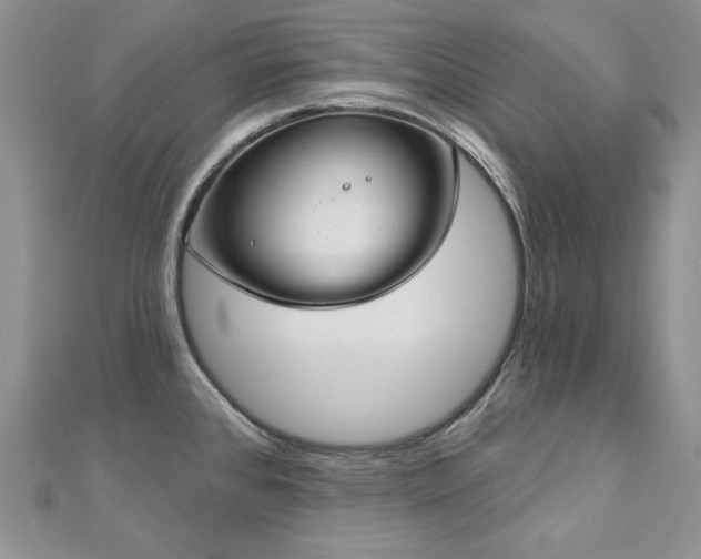 X0000113181384200909041334
