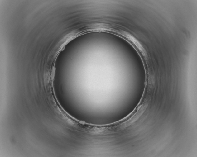 X0000113181385200909041334